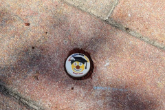 283334202_10161912760816258_4647953451516383403_n