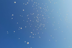 480639701_1027724916058067_1336778218059712364_n