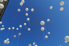 481143689_1027724922724733_6906122449414863222_n