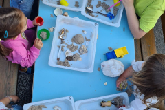 483099802_1046841047479787_4253812845802298069_n