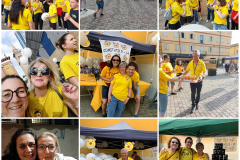 483102867_1046845737479318_9196372049170295663_n