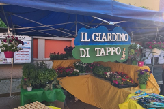 484437714_1046841177479774_564910041757812707_n