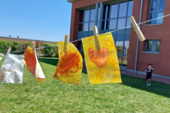 484799423_1046840147479877_3412801050599015570_n