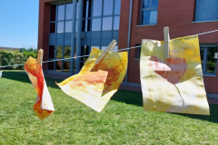 484827645_1046840034146555_283697536988611869_n